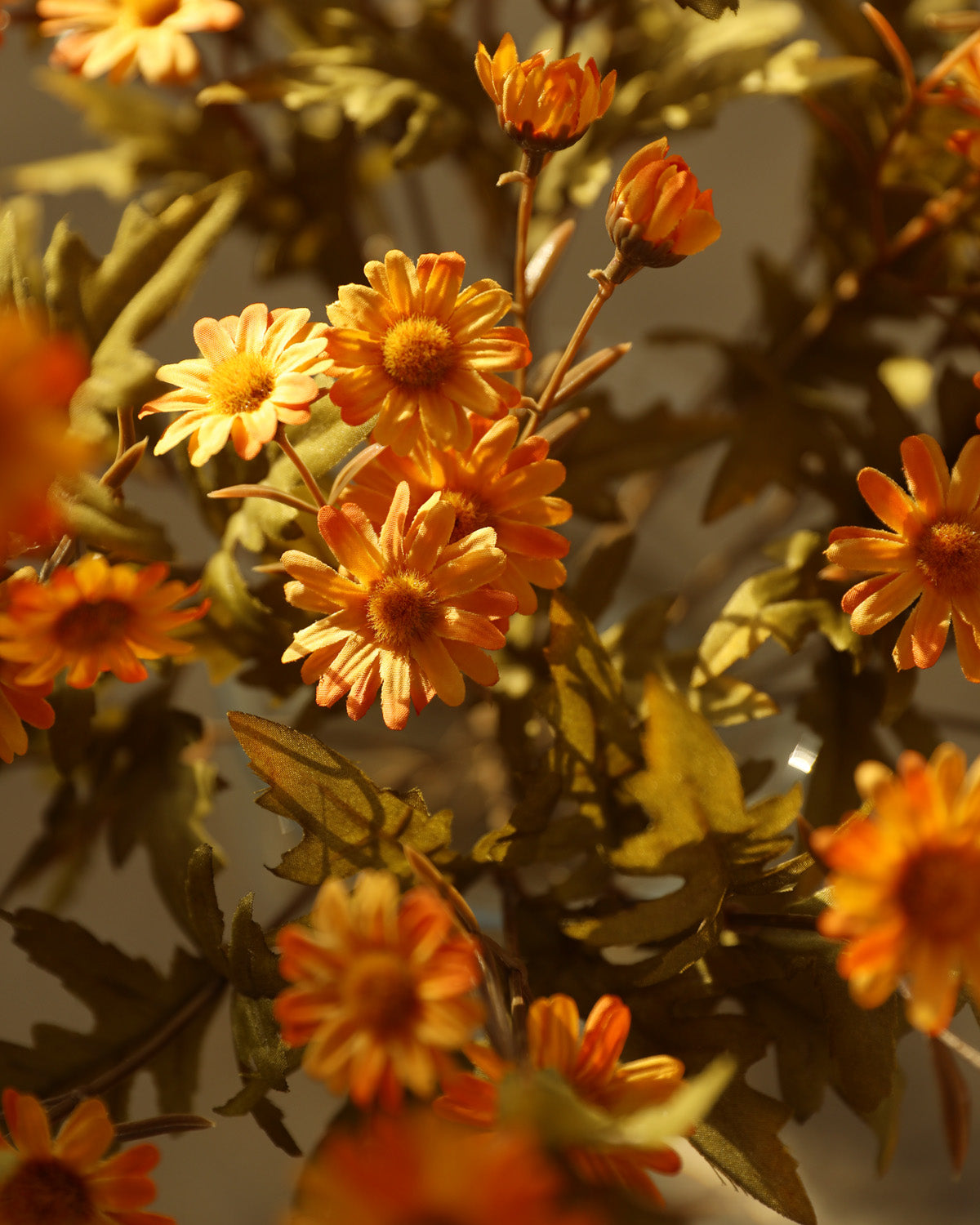 Most Realistic Faux Daisies