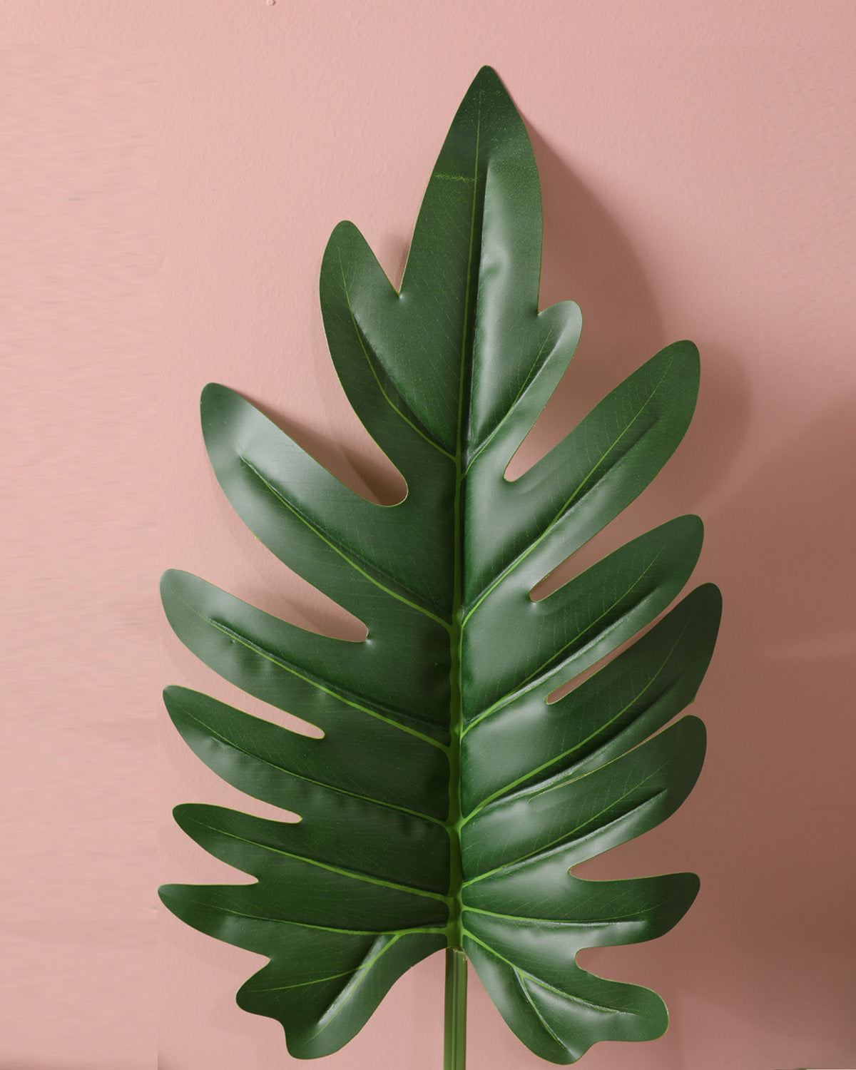 Faux Heart Leaf Philodendron
