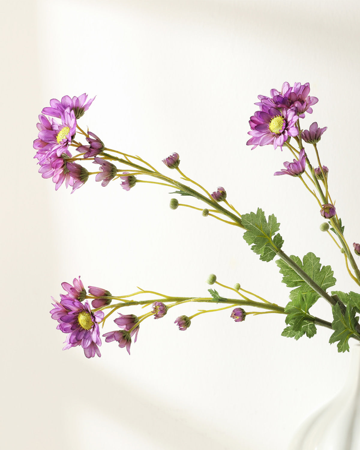 Purple Silk Daisy Wildflowers Wholesale