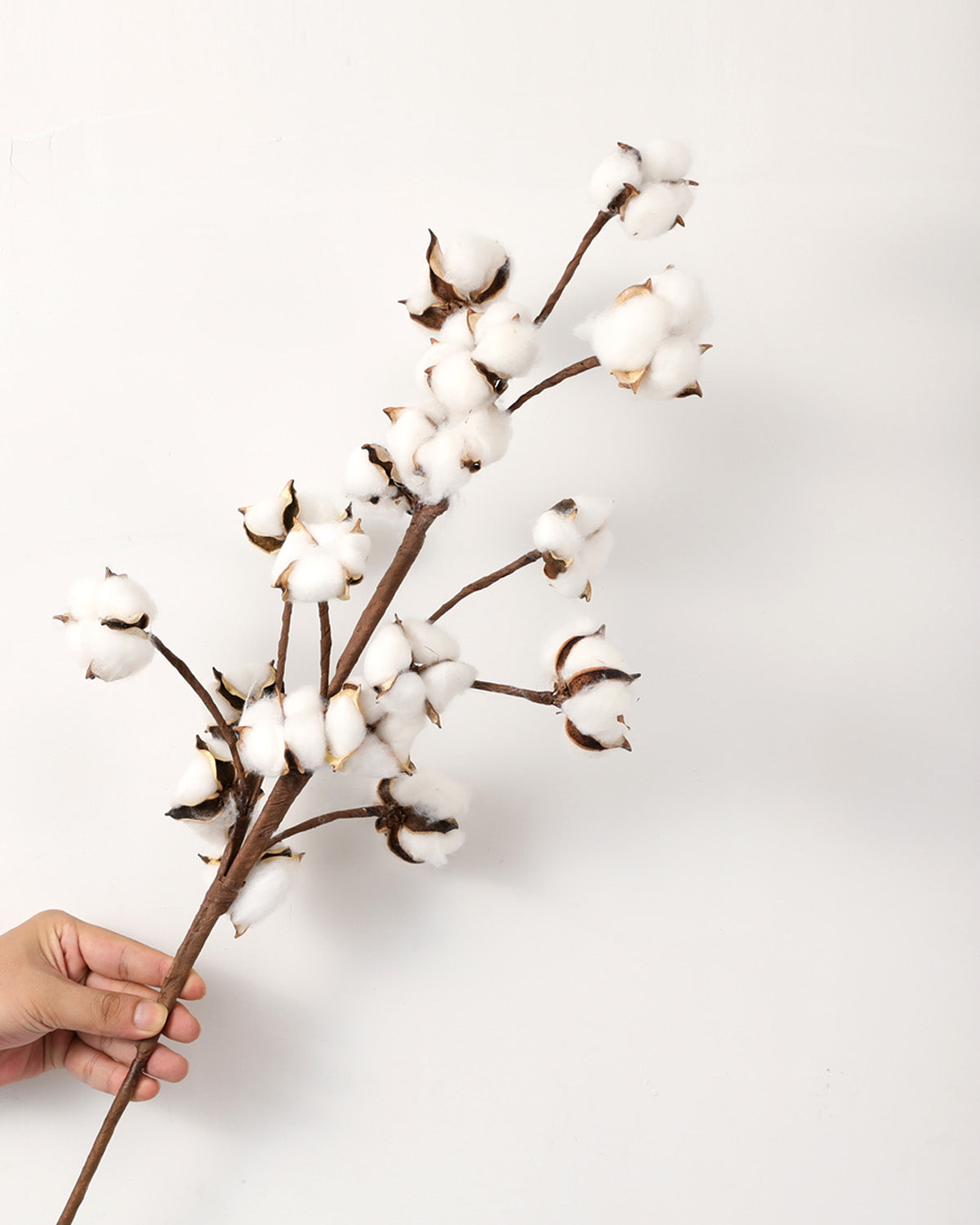 Large Cotton Ball Stems