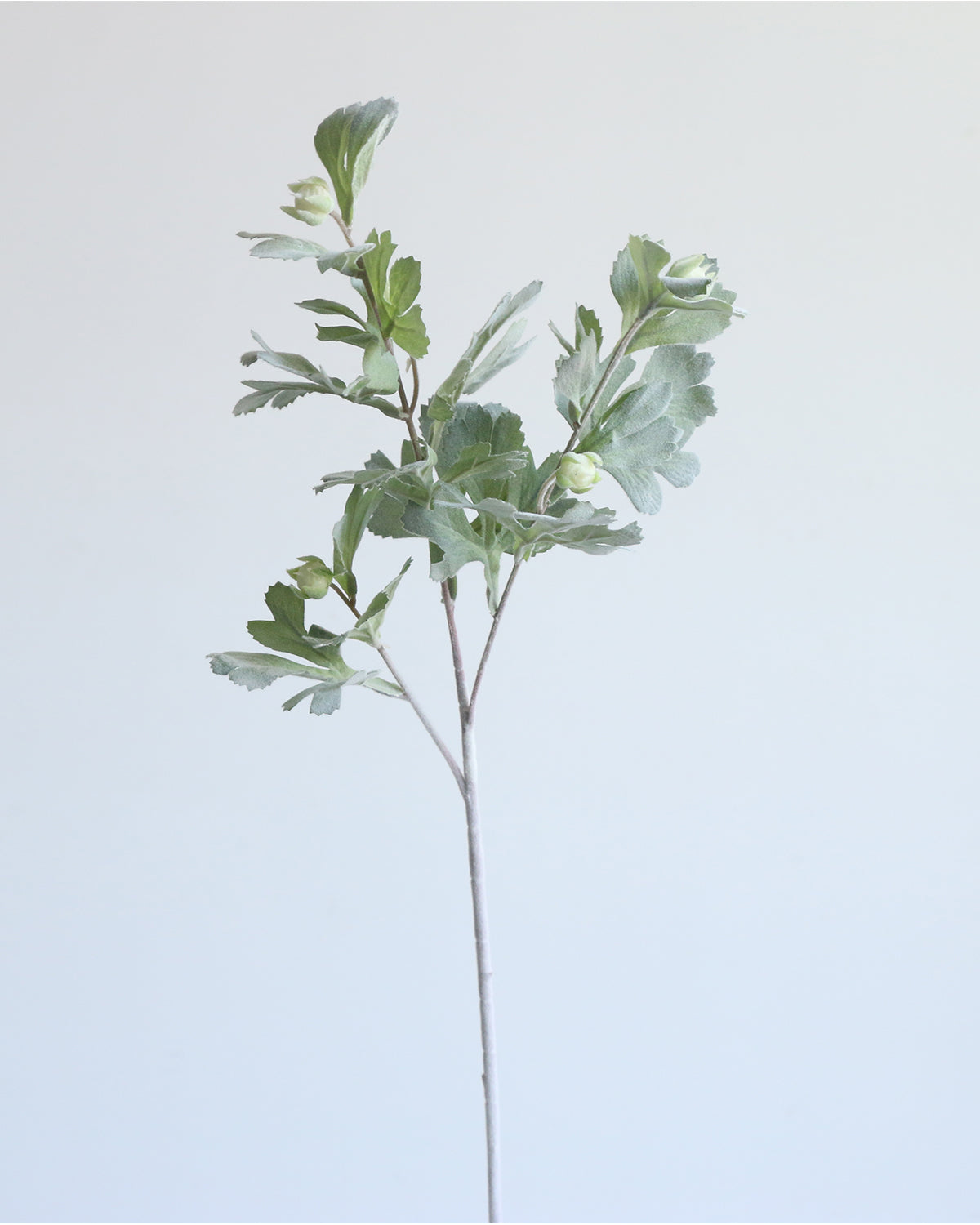 Quality Faux Dusty Miller by AfloralDecor