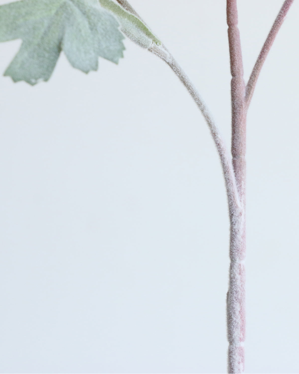Best Artificial Dusty Miller Stems
