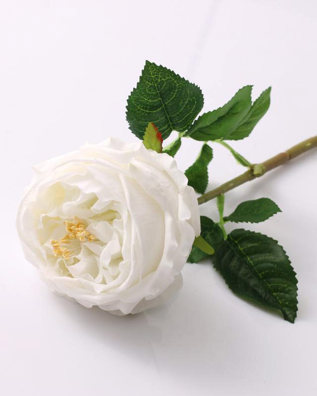 Real Touch White Austin Cabbage Rose