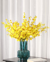 Load image into Gallery viewer, Best Silk Yellow Phalaenopsis Orchid Bulk
