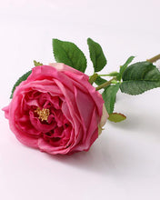 Load image into Gallery viewer, Real Touch Silk Austin Cabbage Rose Wholesale
