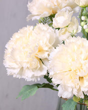 Load image into Gallery viewer, Faux Silk Carnation Bouquet in Bulk
