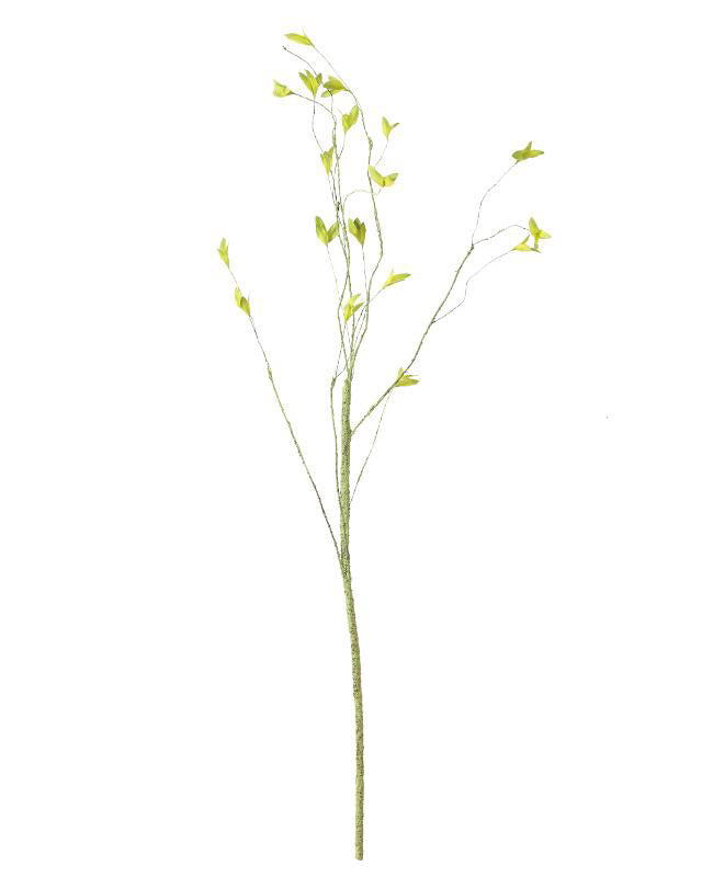 Best Decorative Art Branches