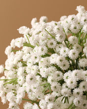 Load image into Gallery viewer, Artificial Gypsophila Baby&#39;s Breath For Sale
