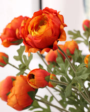 Load image into Gallery viewer, Fake Persian Buttercup Orange
