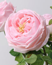 Load image into Gallery viewer, Real Touch Pink Austin Cabbage Rose
