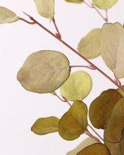 Load image into Gallery viewer, Silk Autumn Yellow Leaves Wholesale 
