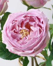 Load image into Gallery viewer, Best Real Touch Austin Cabbage Rose Violet
