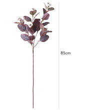 Load image into Gallery viewer, Seeded Silver Dollar Eucalyptus Stem
