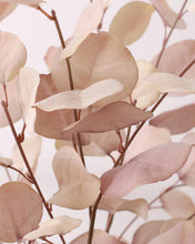Load image into Gallery viewer, Silk Silver Dollar Eucalyptus Leaves
