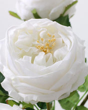 Load image into Gallery viewer, Real Touch White Austin Cabbage Rose
