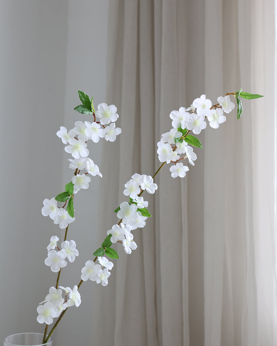 White Silk Cherry Blossom Branch