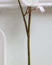Load image into Gallery viewer, Quality Silk Cherry Blossom Stems
