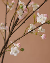 Load image into Gallery viewer, Light Pink Cherry Blossom Flowers Branch
