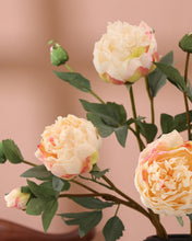 Load image into Gallery viewer, Peony Artificial Flowers Wholesale
