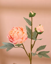 Load image into Gallery viewer, Best Large Fake Peonies Blush Pink
