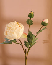 Load image into Gallery viewer, High Quality Large Fake Peonies Cream
