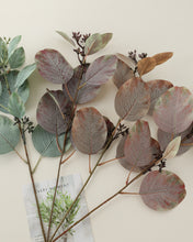 Load image into Gallery viewer, Artificial Autumn Silver Dollar Eucalyptus

