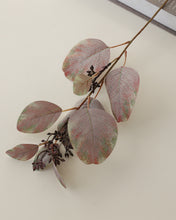Load image into Gallery viewer, Faux Autumn Seeded Eucalyptus
