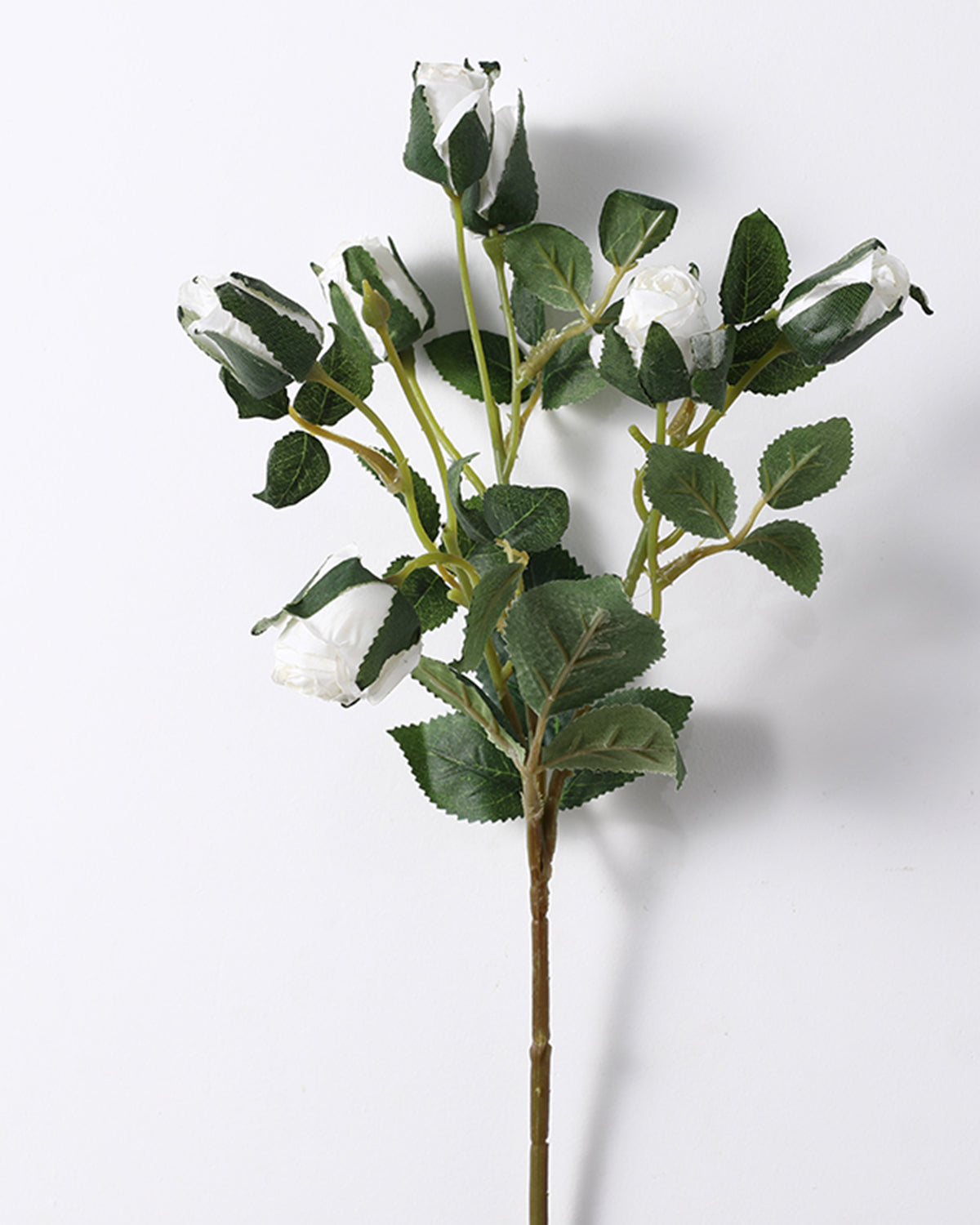 Quality Wild Rose Bulk