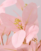 Load image into Gallery viewer, Best Pink Silk Silver Dollar Eucalyptus
