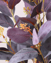 Load image into Gallery viewer, Dusty Purple Silver Dollar Eucalyptus
