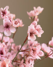 Load image into Gallery viewer, Artificial Pink Cherry Blossom in Bulk
