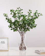 Load image into Gallery viewer, Quality Artificial Ficus Branches

