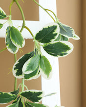 Load image into Gallery viewer, Quality Green White Leaves Vine Garland
