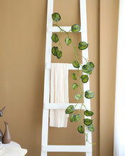 Load image into Gallery viewer, Watermelon Green Leaves Vine Garland
