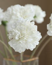Load image into Gallery viewer, White Silk Real Touch Carnations
