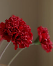 Load image into Gallery viewer, Best Fake Real Touch Carnations Dark Red
