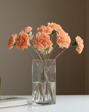 Load image into Gallery viewer, Moist Real Touch Carnations Peach
