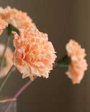 Load image into Gallery viewer, Moist Silk Real Touch Carnations Peach
