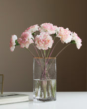 Load image into Gallery viewer, Artificial Silk Real Touch Carnations
