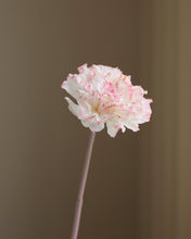 Load image into Gallery viewer, Silk Real Touch Carnations Burnt Pink
