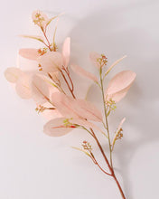 Load image into Gallery viewer, Light Pink Silver Dollar Eucalyptus Stem
