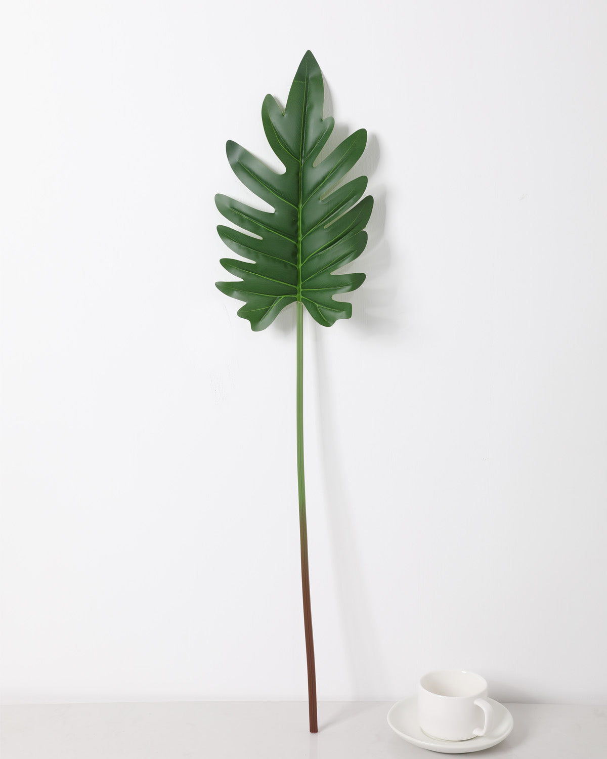 Philodendron Decor Plant