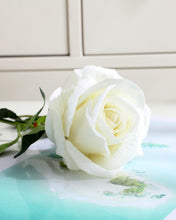 Load image into Gallery viewer, White Velvet Rose Stem With Leaves
