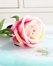 Load image into Gallery viewer, Artificial Rose Stems Magenta Cream
