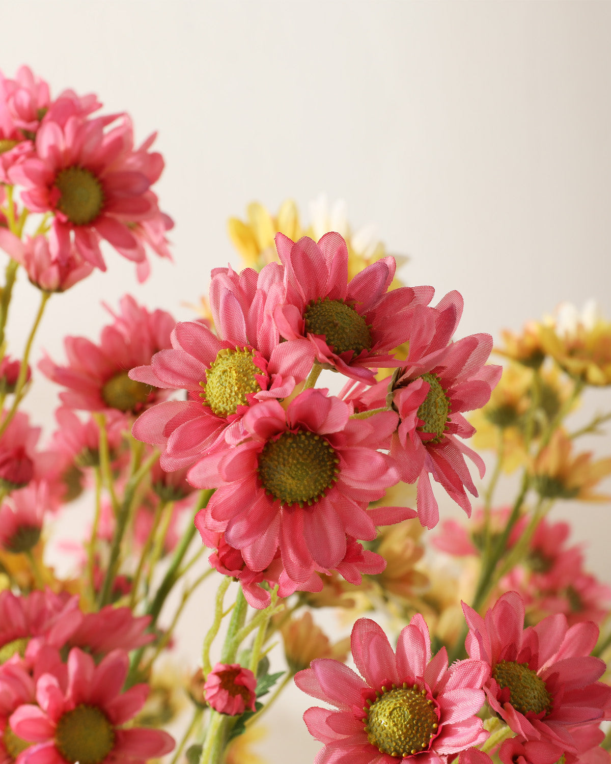 Most Realistic Daisies Wildflowers 