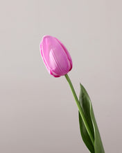 Load image into Gallery viewer, Real Touch Faux Purple Tulips Bulk
