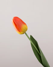 Load image into Gallery viewer, Real Touch Long Stem Silk Tulips Orange
