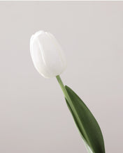 Load image into Gallery viewer, Real Touch Silk White Tulips Long Stem
