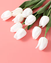 Load image into Gallery viewer, Real Touch Fake White Tulip Long Stem
