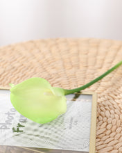 Load image into Gallery viewer, Artificial Green Calla Lily Stem
